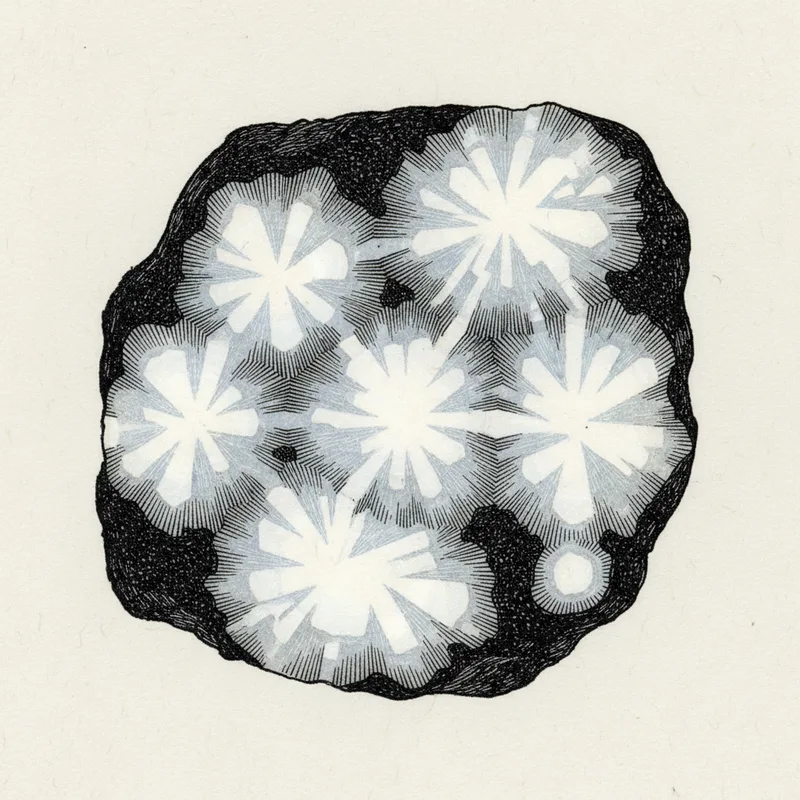 Chrysanthemum Stone